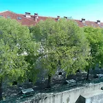 Pinky City Life Split
