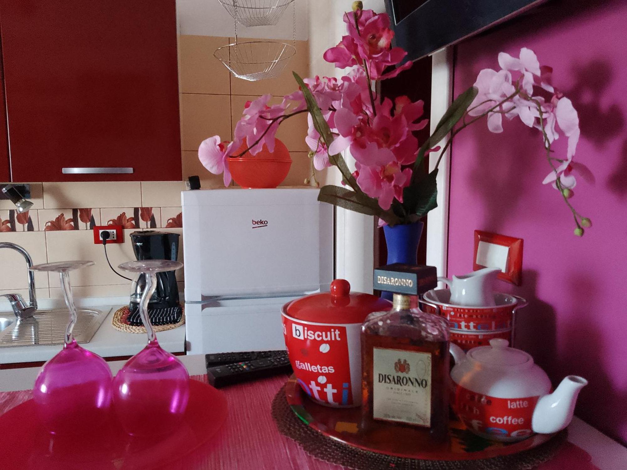 Apartman Pinky Life *