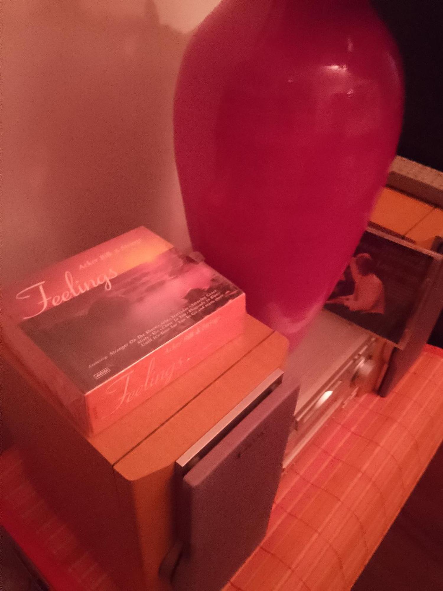 Apartman Pinky Life